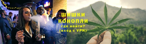 стафф Инта