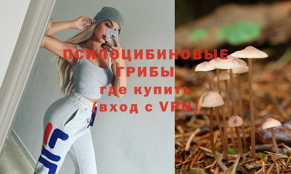 герыч Инсар