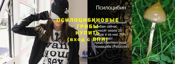стафф Инта