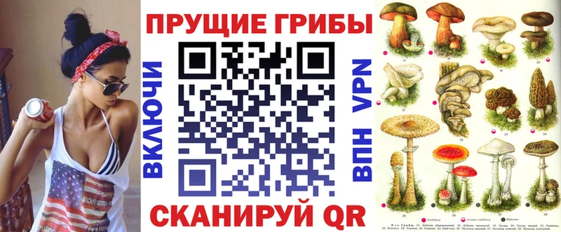 Псилоцибиновые грибы Psilocybe  Купить где  Дорогобуж 